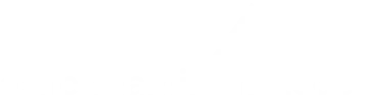 Cohen Hamilton Steger & Co. Logo in White