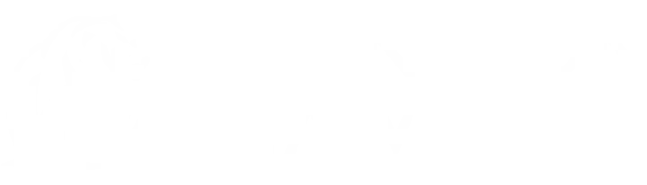 Dunnion Law Logo in White
