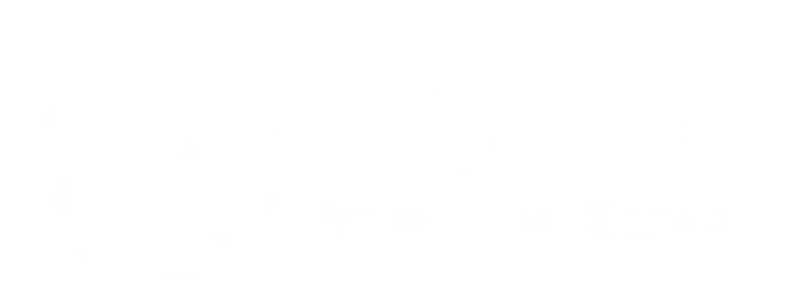 SOAR White Logo
