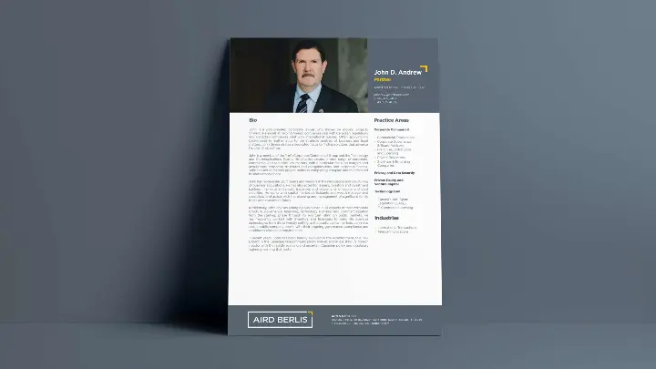 Aird Berlis_Copywriting_Printable Bio