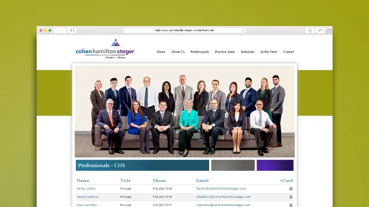 Cohen Hamilton Steger_CHS_Web Design_Website Development_Professionals Page_Browser View