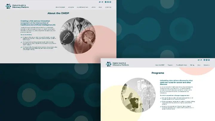 Digital Health and Discovery Platform_DHDP_All_Website Development_About page_Programs
