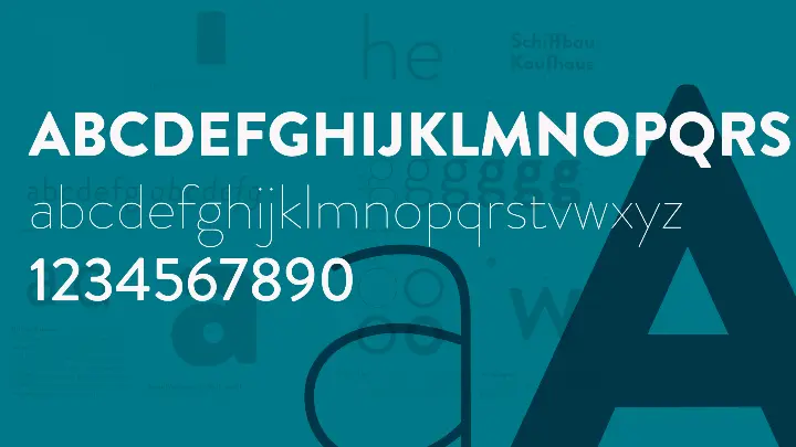 Dillon Consulting_Logo design_Font