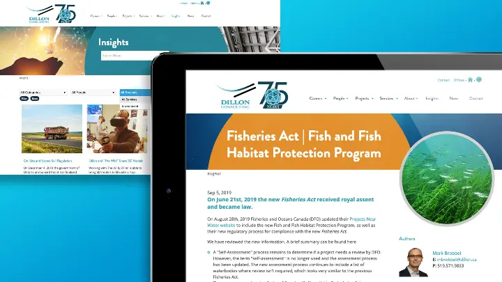 Dillon Consulting_Web design_Website development_Insights page design_Detail page view