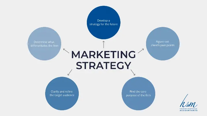 HSM Chartered Professional Accountants_Marketing Strategy and Plans_Strategic Planning_4