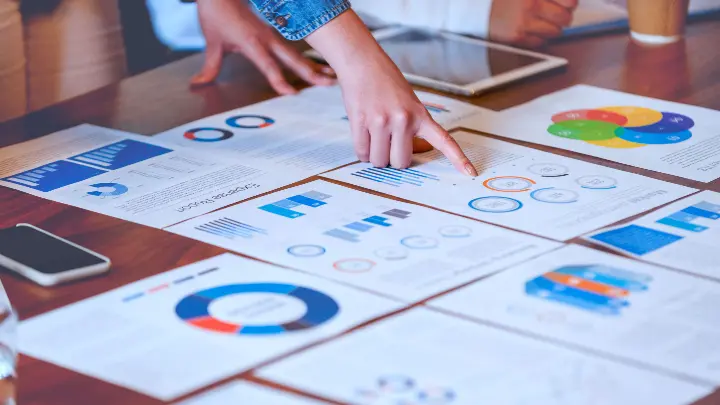 HSM Chartered Professional Accountants_Marketing Strategy and Plans_Strategic Planning_5