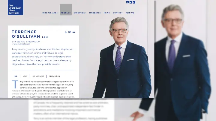 Lax O Sullivan Lisus Gottlieb LLP_LOLG_Web design_Website development_Bio Page-Option2