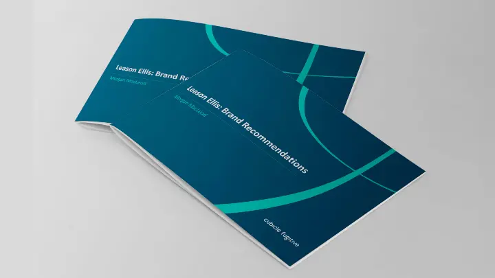 Leason Ellis LLP Brand Report