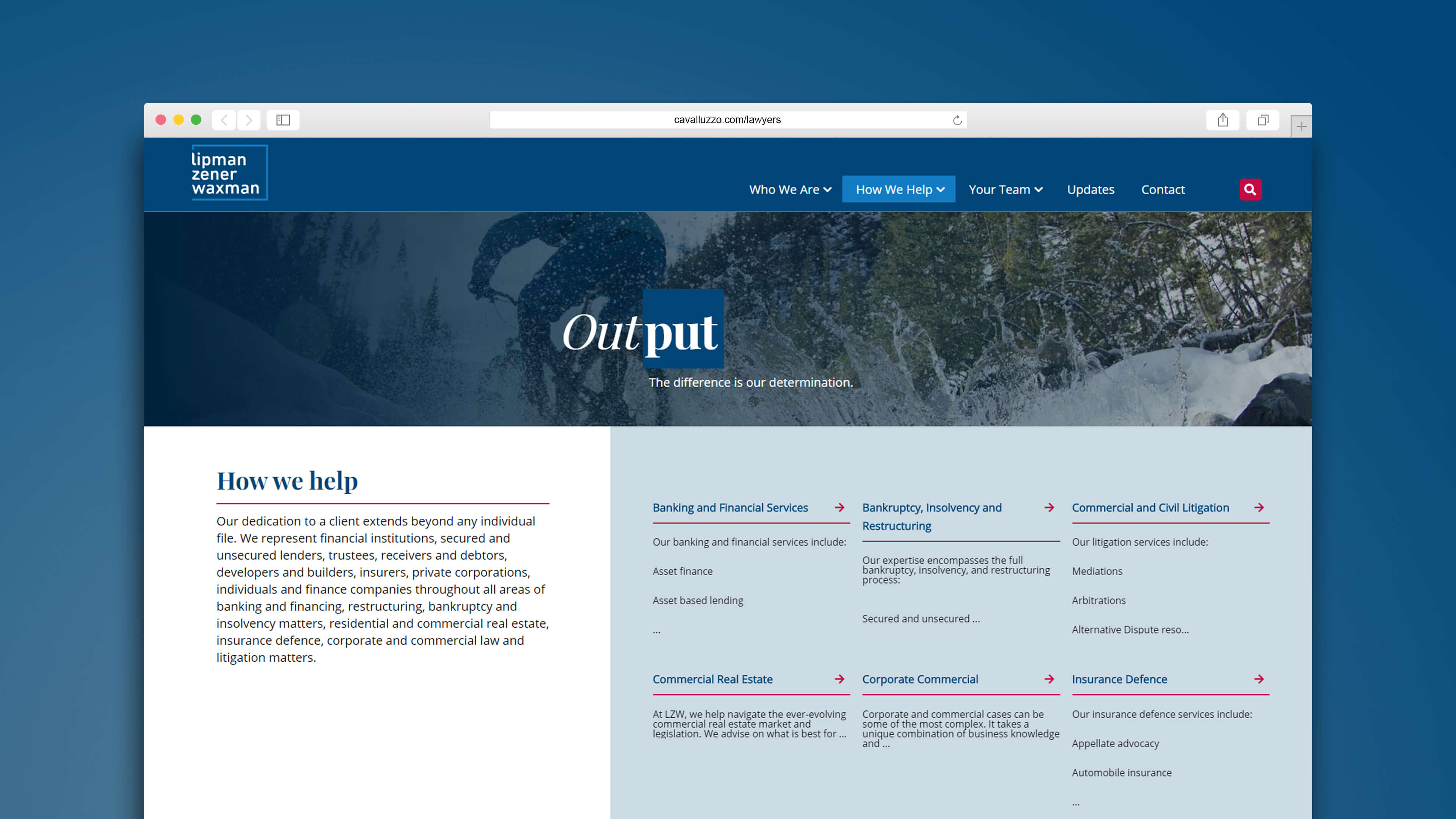 Lipman Zener Waxman_LZW_Web design_Website development_How We Help_Browser View