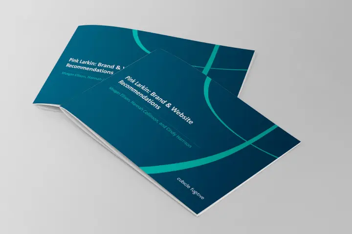 pl-brand-report-cover