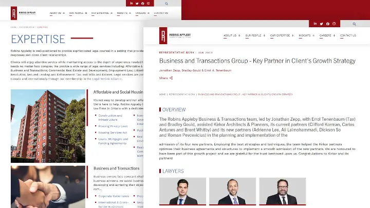 Robins Appleby_Website Development_Expertise