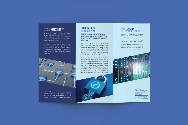 Strigberger Brown Armstrong_Brochure design_Trifold Brochure_2