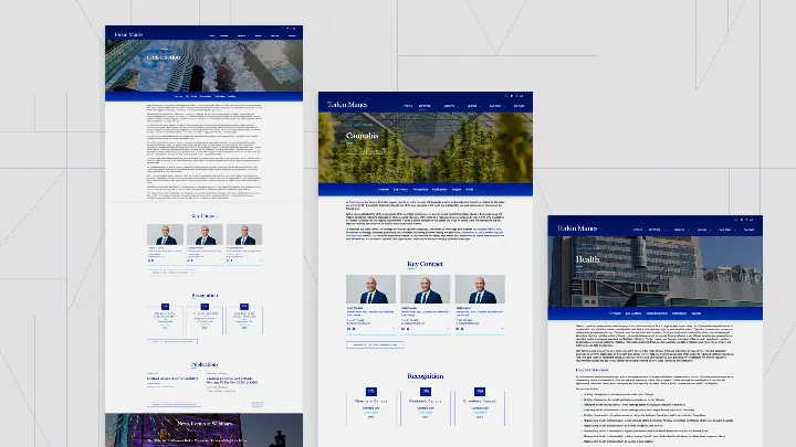 Torkin Manes three individual expertise pages