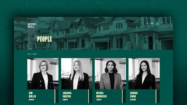 Wood Bull_Topographic Background